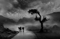 615 - CLOUDY WEATHER - BANGERA SURESH - india <div